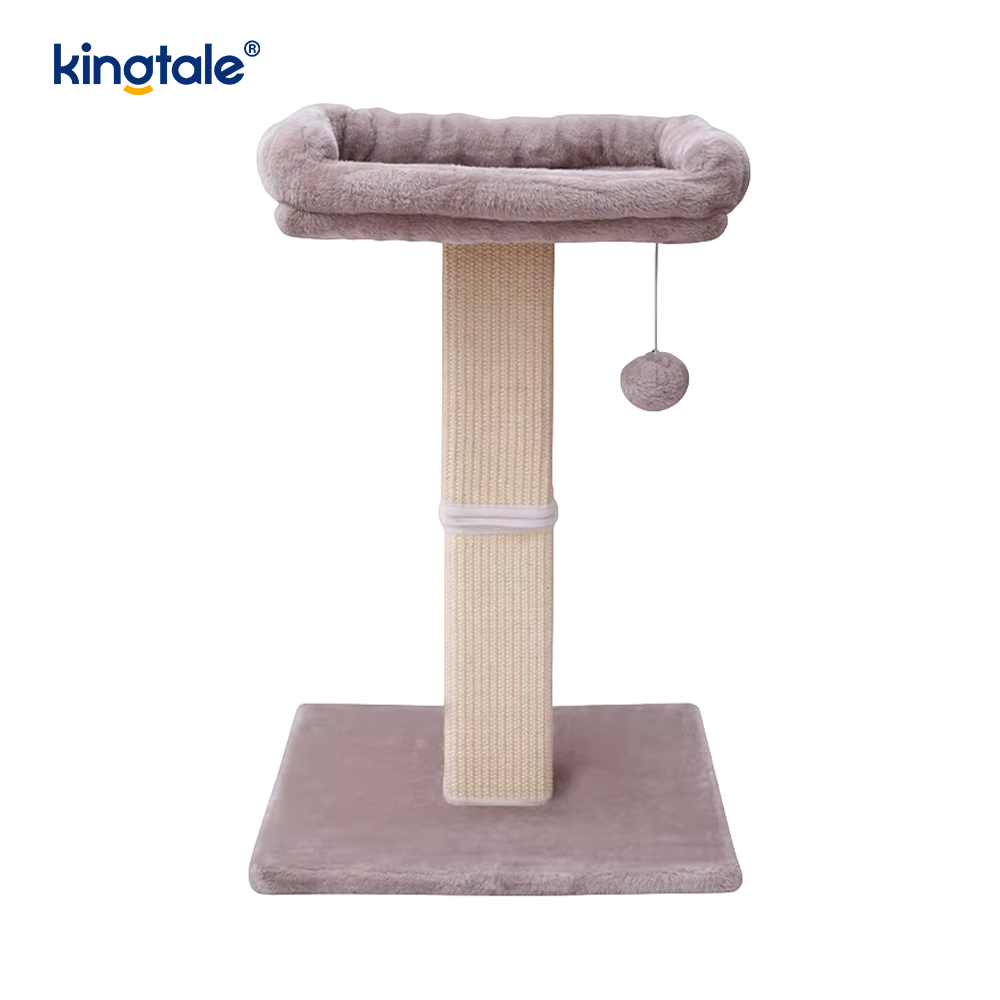 اصول اولیه درخت گربه