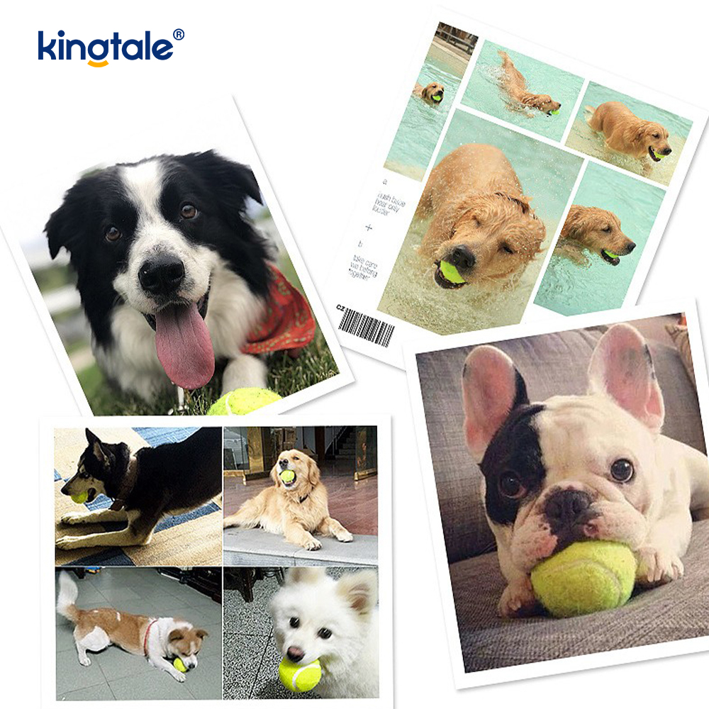 Pet Toy Tennis بادوام و مقاوم در برابر گاز گرفتن برای Pet Chew Exercise Interactive
