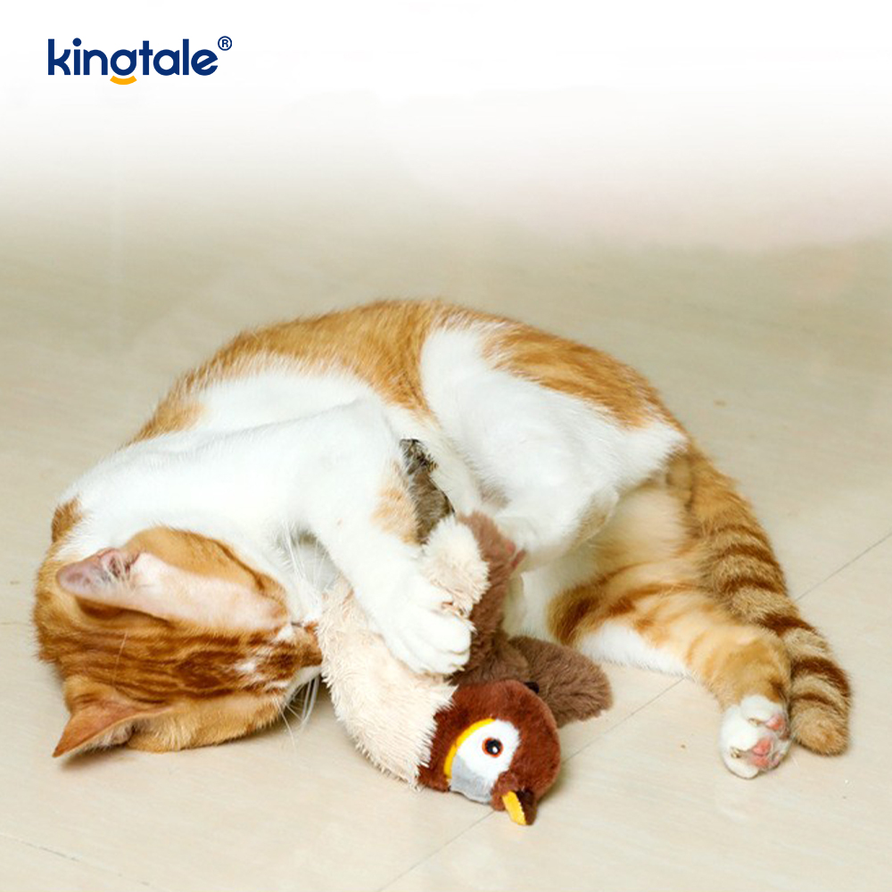 اسباب بازی مخمل دار شبیه سازی شده Sparrow Pet برای همه نژادها Cat Kicker Catnip Toys Sparrow