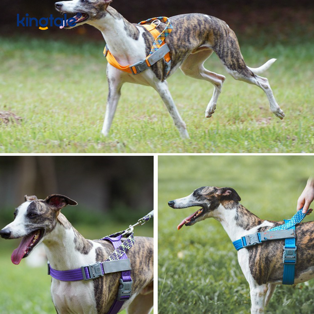 مهاربند بازتابی سگ با بافت نایلونی بافته شده توسعه یافته